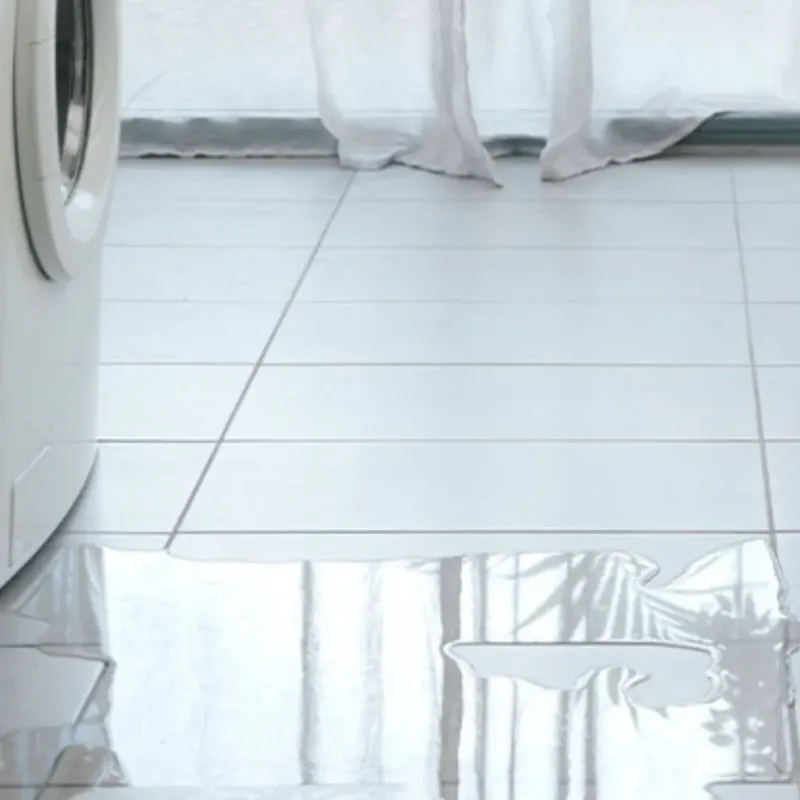 Appliance Leak Cleanup in Cambria, IL