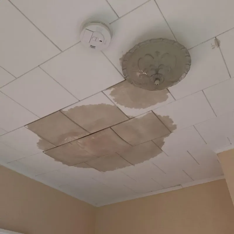 Ceiling Water Damage Repair in Cambria, IL