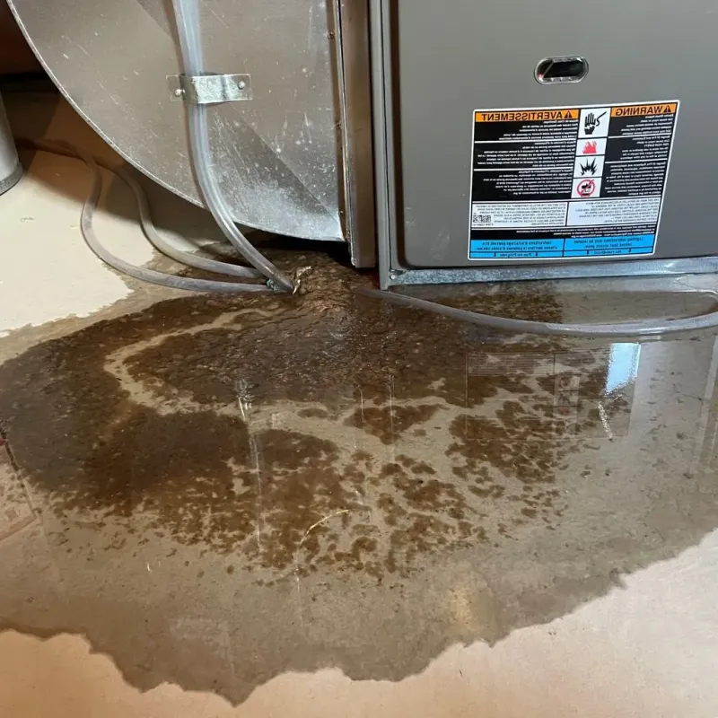 Pipe Burst and Leak Restoration in Cambria, IL