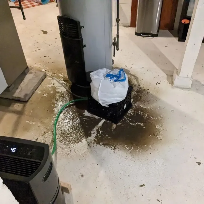 Sewage Backup Cleanup Service in Cambria, IL